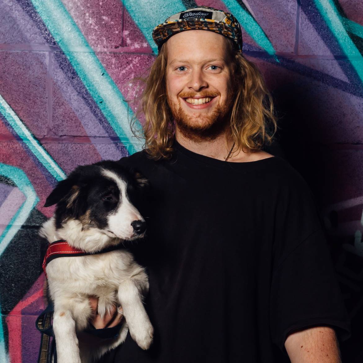 Tom-dog-2.jpg